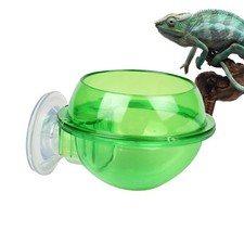 Reptile Feeder Bowl Food Water Feeding Bowl for Chameleon Bearded Dragon