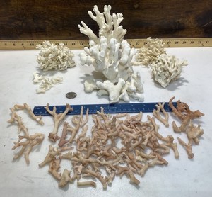 Mixed Lot Genuine Natural Real Coral Reef For Aquarium Home Decor Art Pink White
