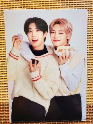 Stray Kids Family mart Official Clear File 5pcs Set Limited Japan