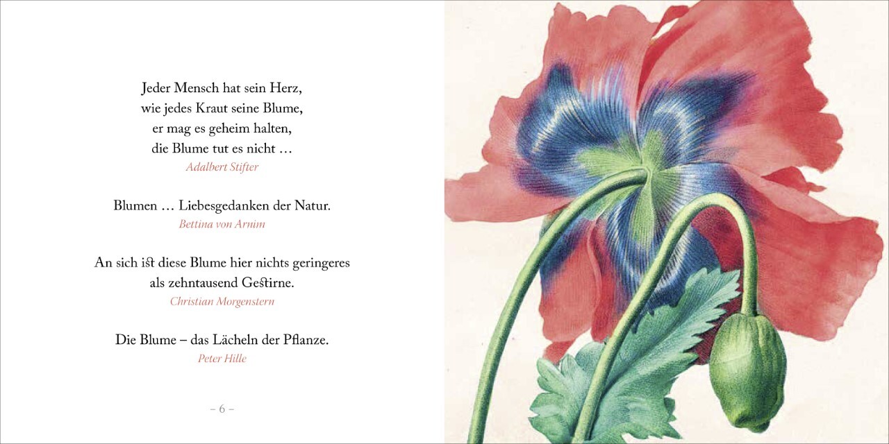 Thumbnail - Weise Gehen In Den Garten