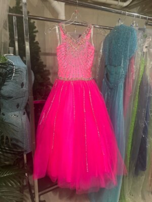 rachel jade pink dress Perfect Angels by Rachel Allan 1533 Hot Pink Girls Pageant Gown sz 4 Sale!!