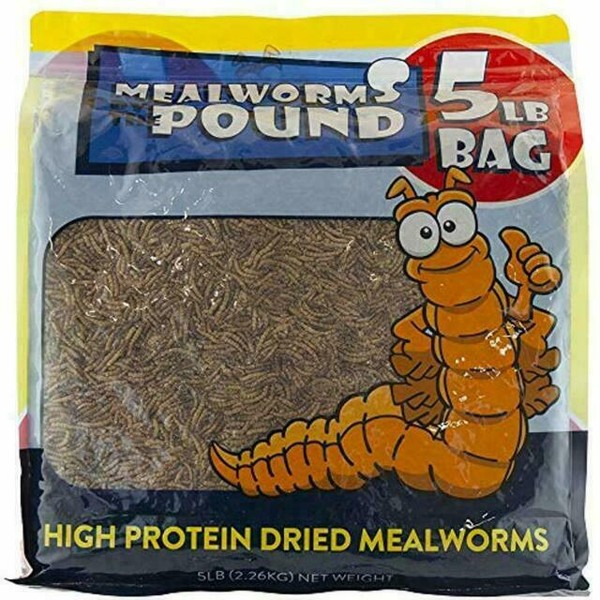 Mealworms by the Pound Dried Mealworms 5lbs for sale online eBay