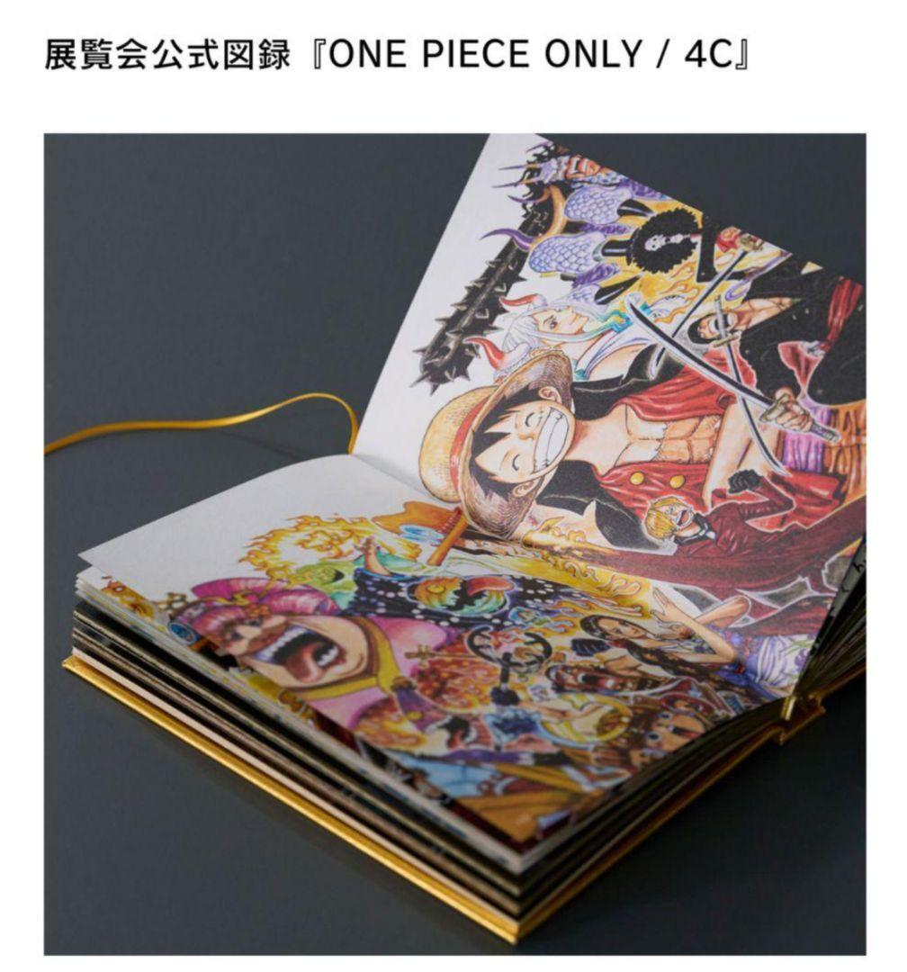 One Piece Only Exhibition Official Art Book Catalog 4C Full