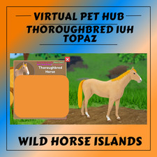 Wild Horse Islands - Thoroughbred IUH - Topaz - Dapple Palomino Coat -