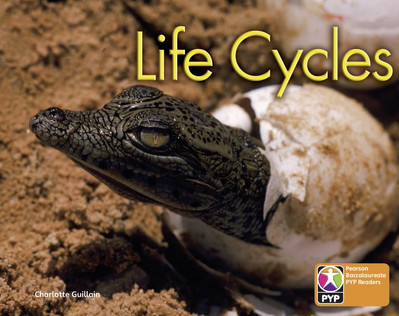 PYP L6 Life Cycles single (Pearson Baccalaureate Primar - Paperback / softback N