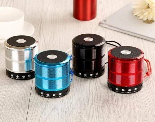 Mini Bluetooth Speaker WS-887 with FM Radio, Memory Card Slot, USB Pen  Drive Slo