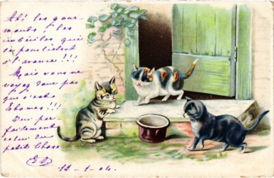 PC KATZEN DREI KÄTZCHEN IM GARTEN (a2150)