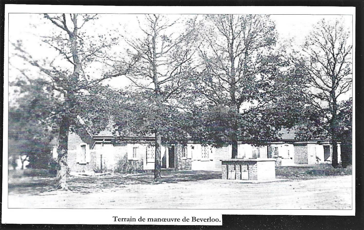 Foto 1 di 1