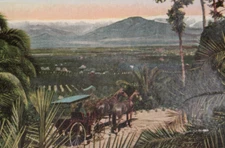 Smiley Heights Redlands California Postcard Newman Post Card Co unposted