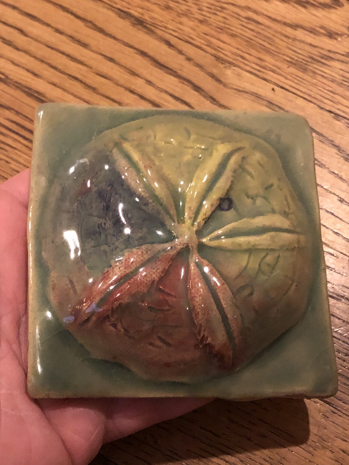 Picture 19 of 22