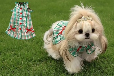 Small Breed Summer Dress