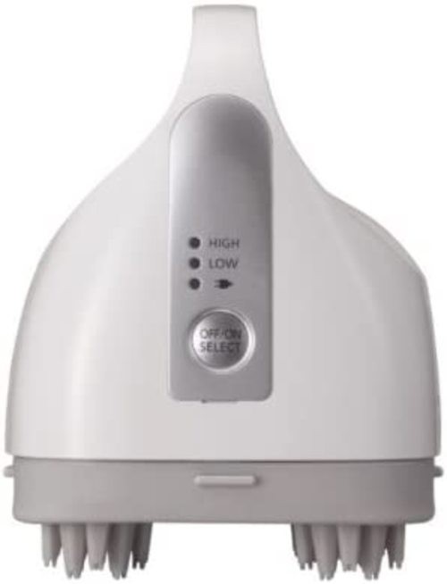 Panasonic Eh-hm75-s Head Spa Scalp Aethetic Massager Silver Tone