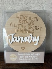 Pregnancy Announcement Set Baby Reveal 12 months wooden 6.5"