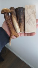 241.KNIFE HANDLE MATERIAL.ASH,RED DEER,ROEBUCK BLANKS(NATURAL).