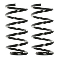 Fahrwerksfedern-Set Hinterachse Schraubenfeder Ø123Mm Spidan FüR U.A. Fiat Punto