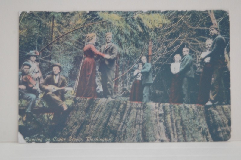 Dancing on Cedar Stump, Washington Vintage Postcard