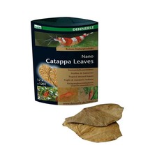 Dennerle 5916 Nano Catappa Leaves Foglie di mandorlo indiano per acquario