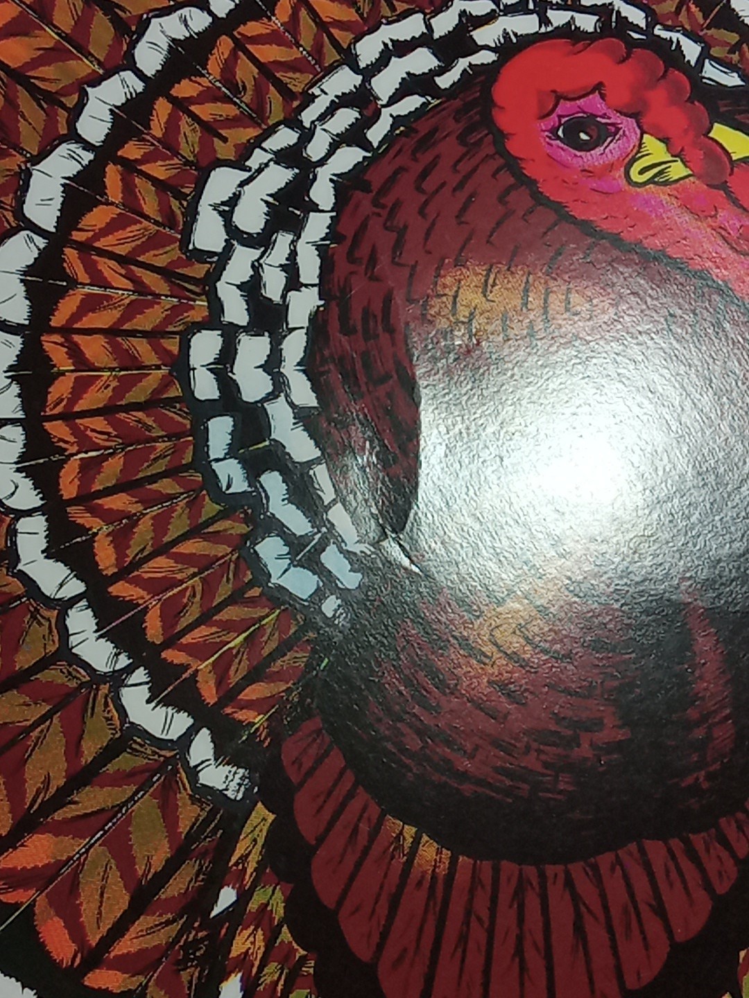 Picture 6 of 8