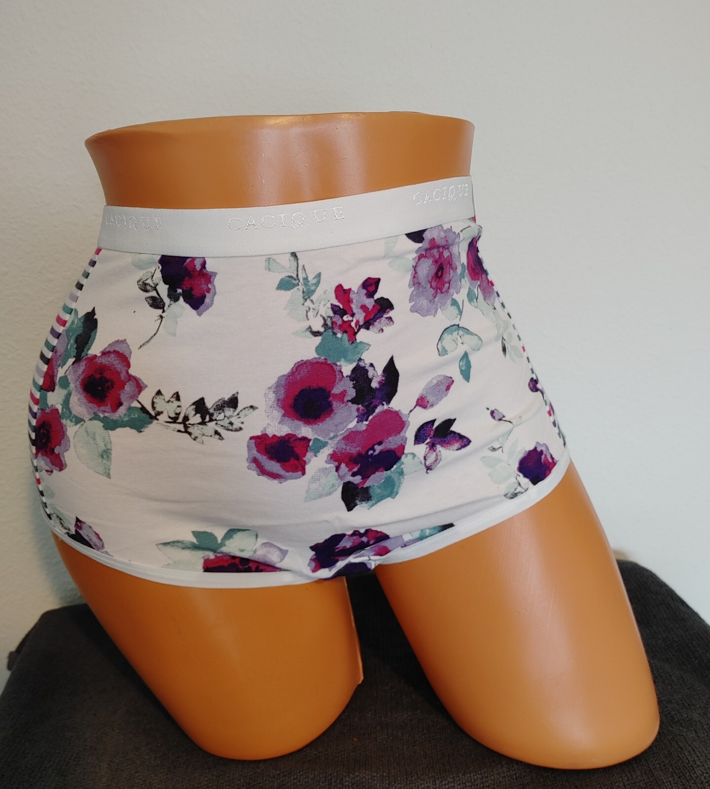 NWT LANE BRYANT CACIQUE COTTON FULL BRIEF PANTIES 22/24 PLUS WHITE