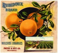 Rubidoux Brand Orange Riverside California Citrus Fruit Crate Label Art Print