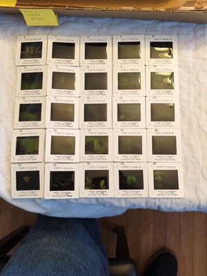 Full Set Of 25 Apollo 16 Mission 35 mm color Slides - Movie Newsreels Company