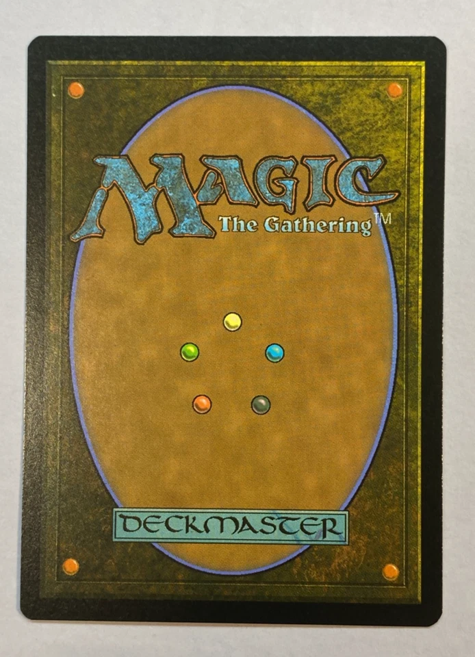 MTG - Windswept Heath - NM - Modern Horizons 3 - Image 2 of 2