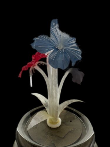 Vtg Rare 10.5” Fiber Optic Flower Light – Wind-Up Music Box, Glass Dome, WORKS! - Picture 3 of 17