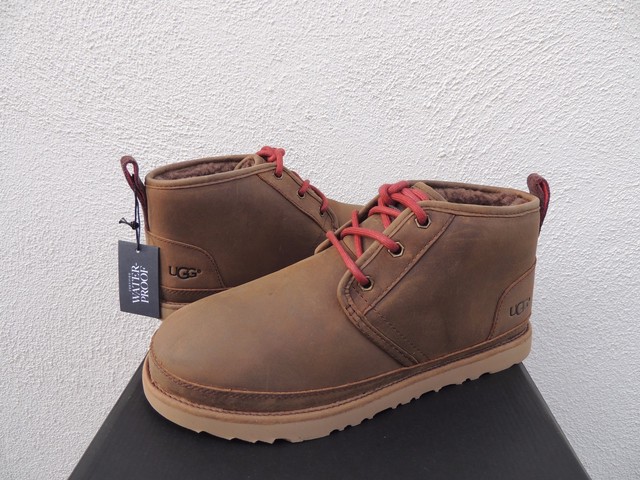ugg waterproof chukka boot