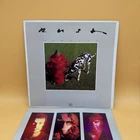 Rush - Signals -  Vinyl LP 1982 OG First Press Mercury SRM-1-4063 Glossy Mint