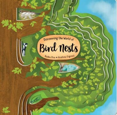 Discovering the World of Bird Nests (Happy Fox Books) Unique Board Book for Kids
