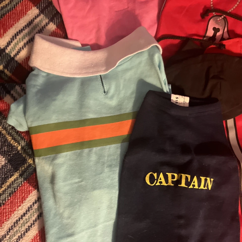 Dog Shirts Designer Lot Small Paris Erotica Boat Star Funny - Image 4 of 4