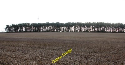Photo 6x4 Windbreak in fields Swaffham  c2014