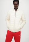 EA7 Emporio Armani Herren Beige Daunenjacke Übergangsjacke (8NPB23 PNGPZ-1713)