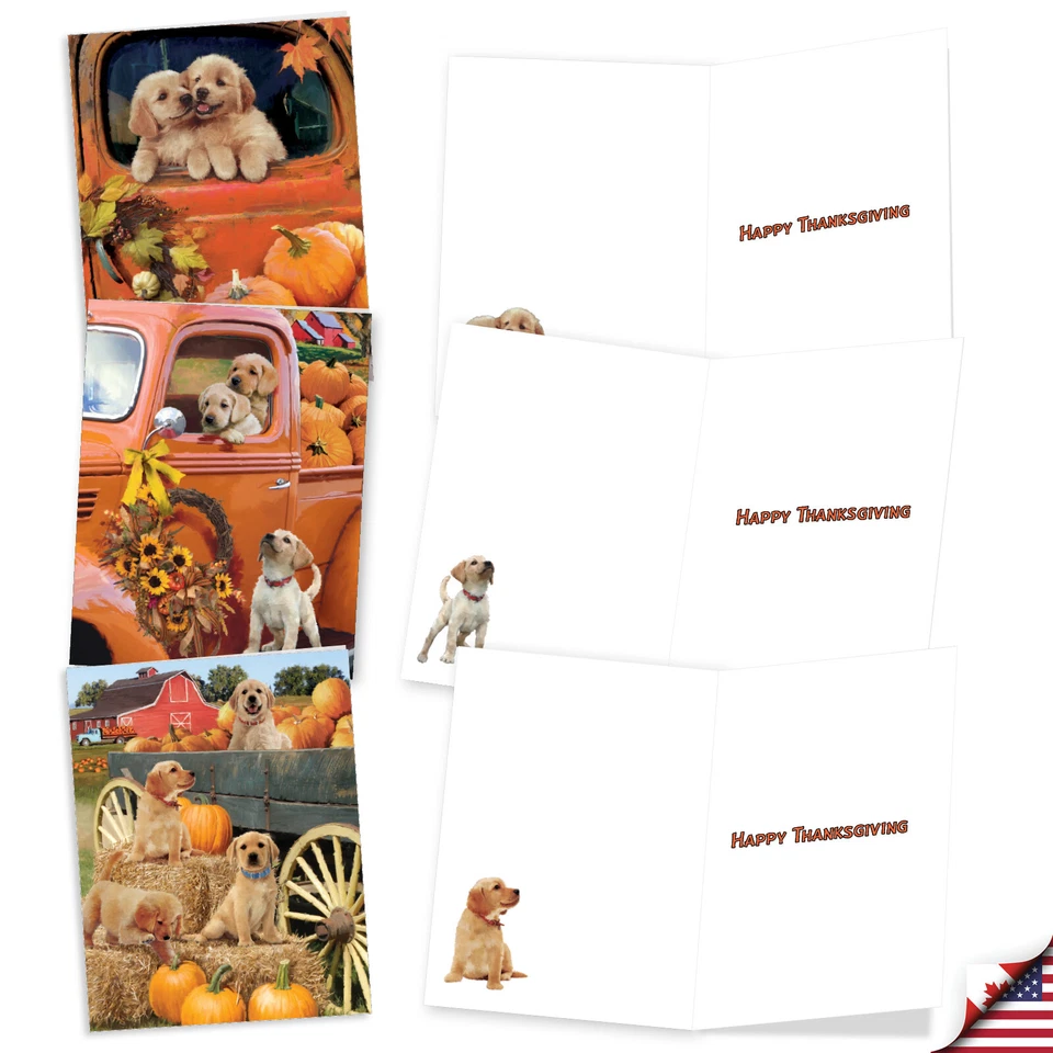 20 tarjetas de acción de gracias Asst'd con sobres (10 diseños 2 cada uno) cachorros calabaza Foto 3 de 4
