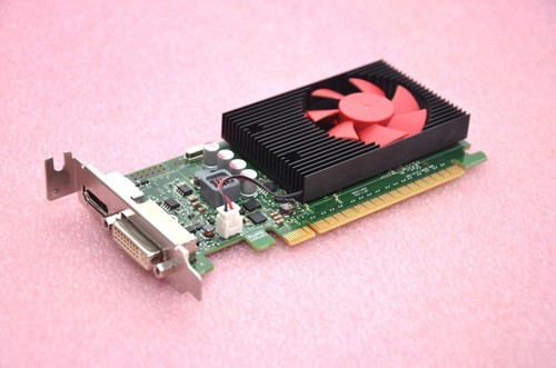 NVIDIA GT 730 2GB GDDR5 PCIe 2.0 8x DVI+DP Low Profile (LP) HP Video Card - Picture 1 of 7