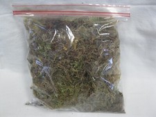 Sphagnum moss 1/3 LB in a 1 gallon Ziplock Bag