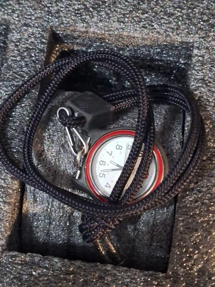 瑞士陆军品牌怀表原装挂绳运行良好状况良好。 — 第 4/4 张图片
