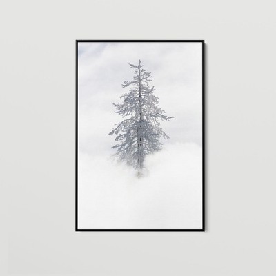 Tree Covered in Rime Ice Near Mud Volcano, Yellowstone National Park - Art Print