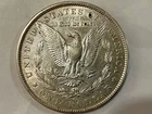 1882 CC USA Morgan Dollar cleaned scuffed EF details raw coin budget Carson City