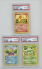 Lot Of (3) PSA Graded Base Set Pokemon 1st Edition Charmander Squirtle Bulbasaur