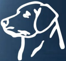 Lab Labrador Car Vinyl Window Decal Graphic Laptop Dog Animal Sticker New