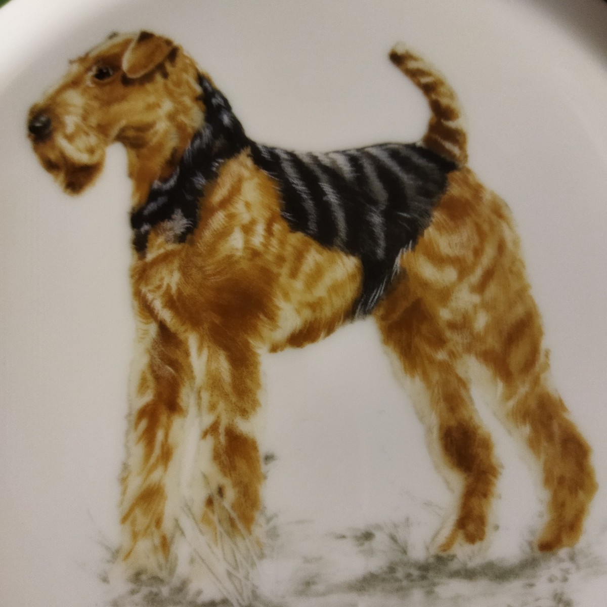 Hermes Octagonal Plate Airedale Terrier Dog Chasse Green 25 cm No