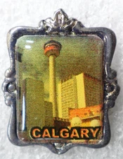 Alberta Wild Rose Pin – Pink Flowers Black Gold Souvenir Provincial Pride Badge