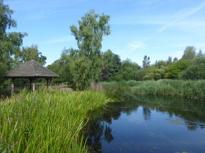 Photo A2 Wildside at the London Wetland Centre Barnes This is Wildside w c2020