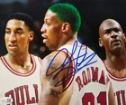 Dennis Rodman Signed METALLIC Photo 8x10  NWO Bulls Worm Autograph HOF JSA HOGAN