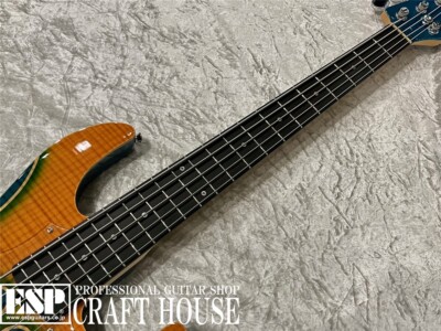 ESP ORDER MADE Amaze-CTM 5st / Custom Color Used Electric Bass