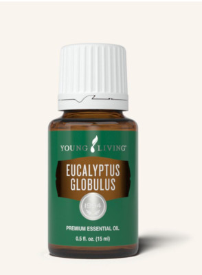 EUKALYPTUS Eucalyptus GLOBULUS  Young Living 15 ml neu Ätherisches Öl