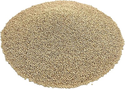 DelightFood Premium Quality White Proso Millet Bird Seed Feed
