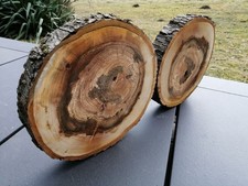 2 große Baumscheiben Holzscheiben vom Apfelbaum Natur Epoxid Deko Kranz
