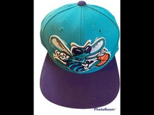 Charlotte Hornets NBA Teal Purple Cap Basketball Mascot Logo
